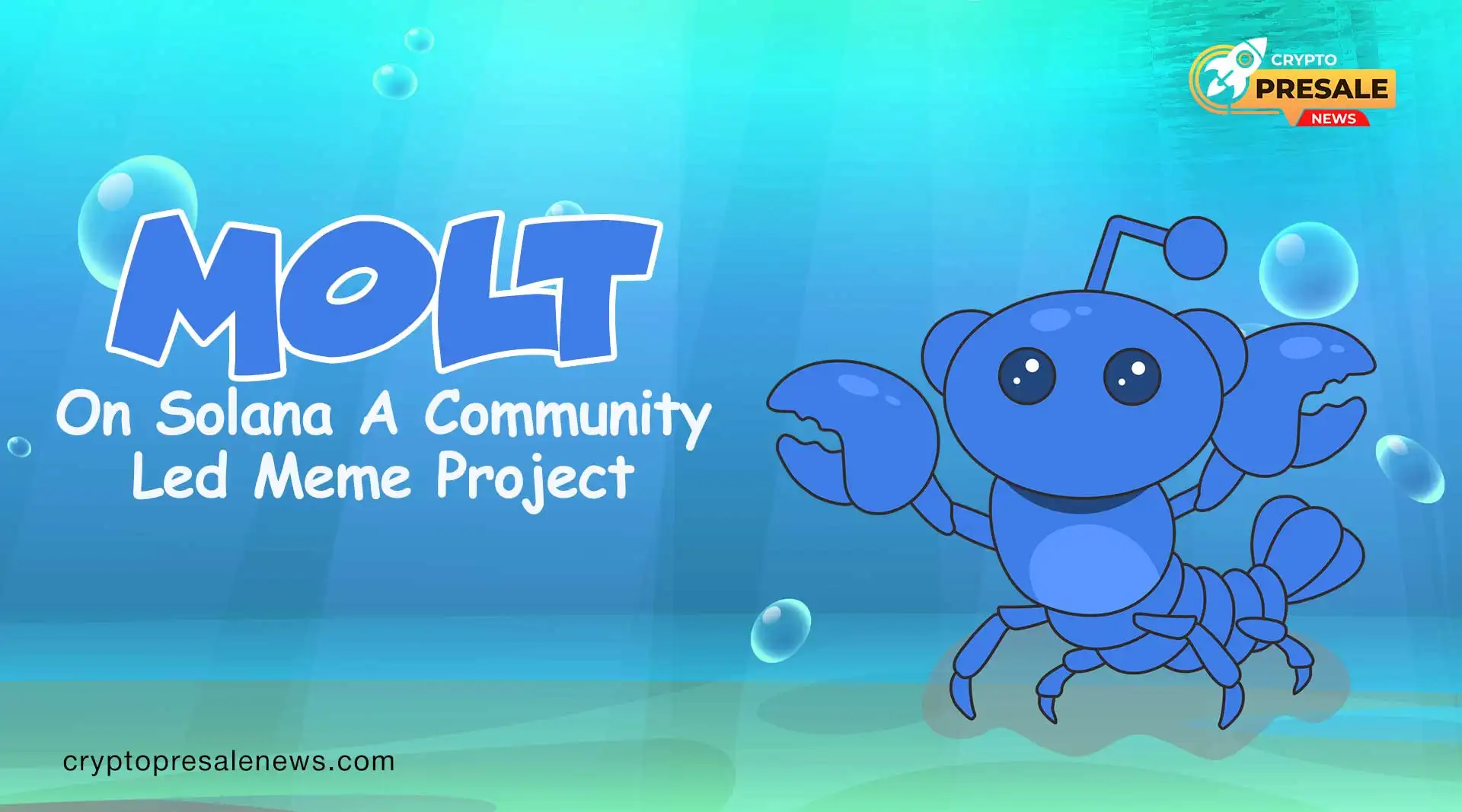 Molt Presale Explained for Beginners Exploring Early Tokens