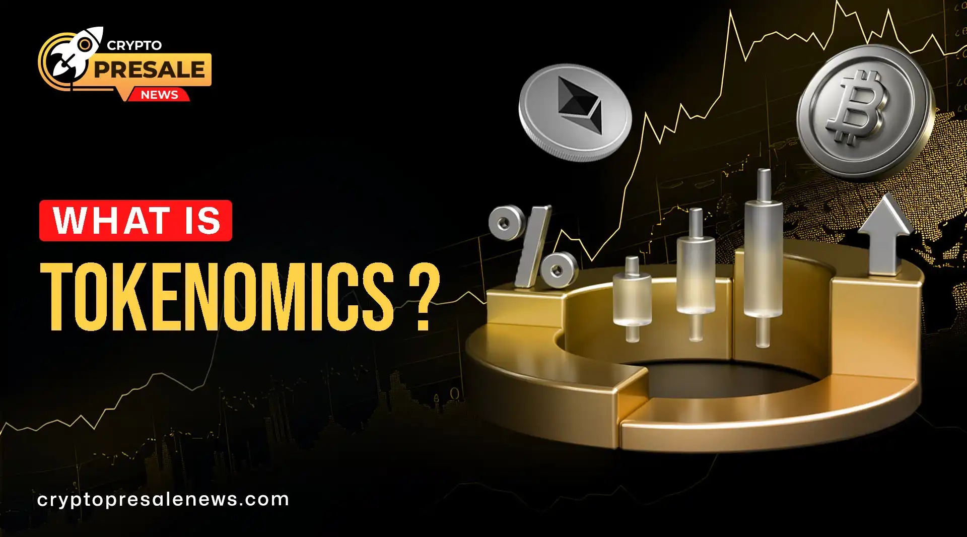 Crypto Tokenomics Basics for New Users