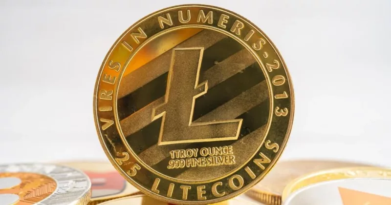 Lite Strategy Litecoin treasury holdings chart for Q1 fiscal 2026