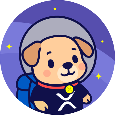 SpaceXRP Presale | BSC Meme Coin Crypto