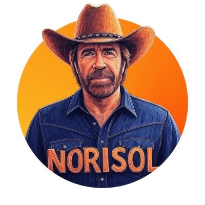 NORISOL Presale: Meme Coin Fun on Solana Blockchain