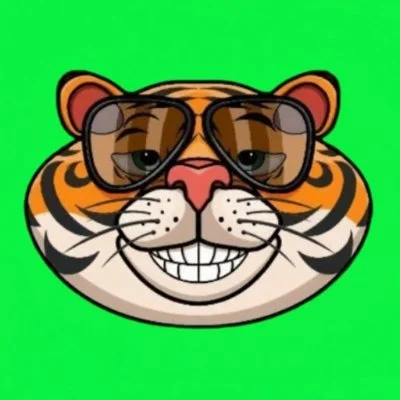 Tiga IDO MEME Coin on Ethereum – Buy $TIGA Tokens