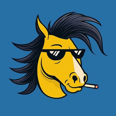 JOKO crypto presale powerful trending secure meme coin